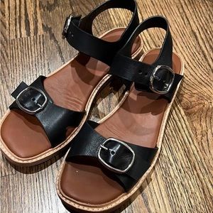 Everlane twin buckle sandals